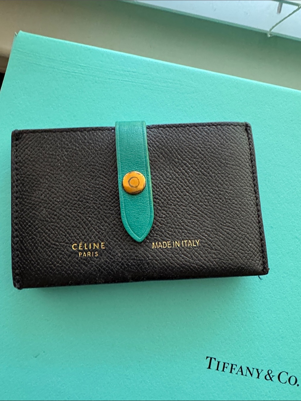 Celine Black Leather Card Holder with Teal Strap